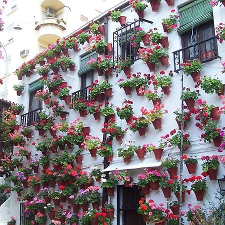 Centro Cordoba Apartaluz-8 Wifi Pk Exterior photo