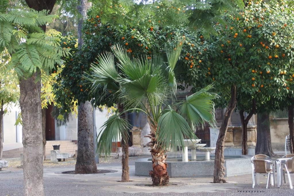 Centro Cordoba Apartaluz-8 Wifi Pk Exterior photo