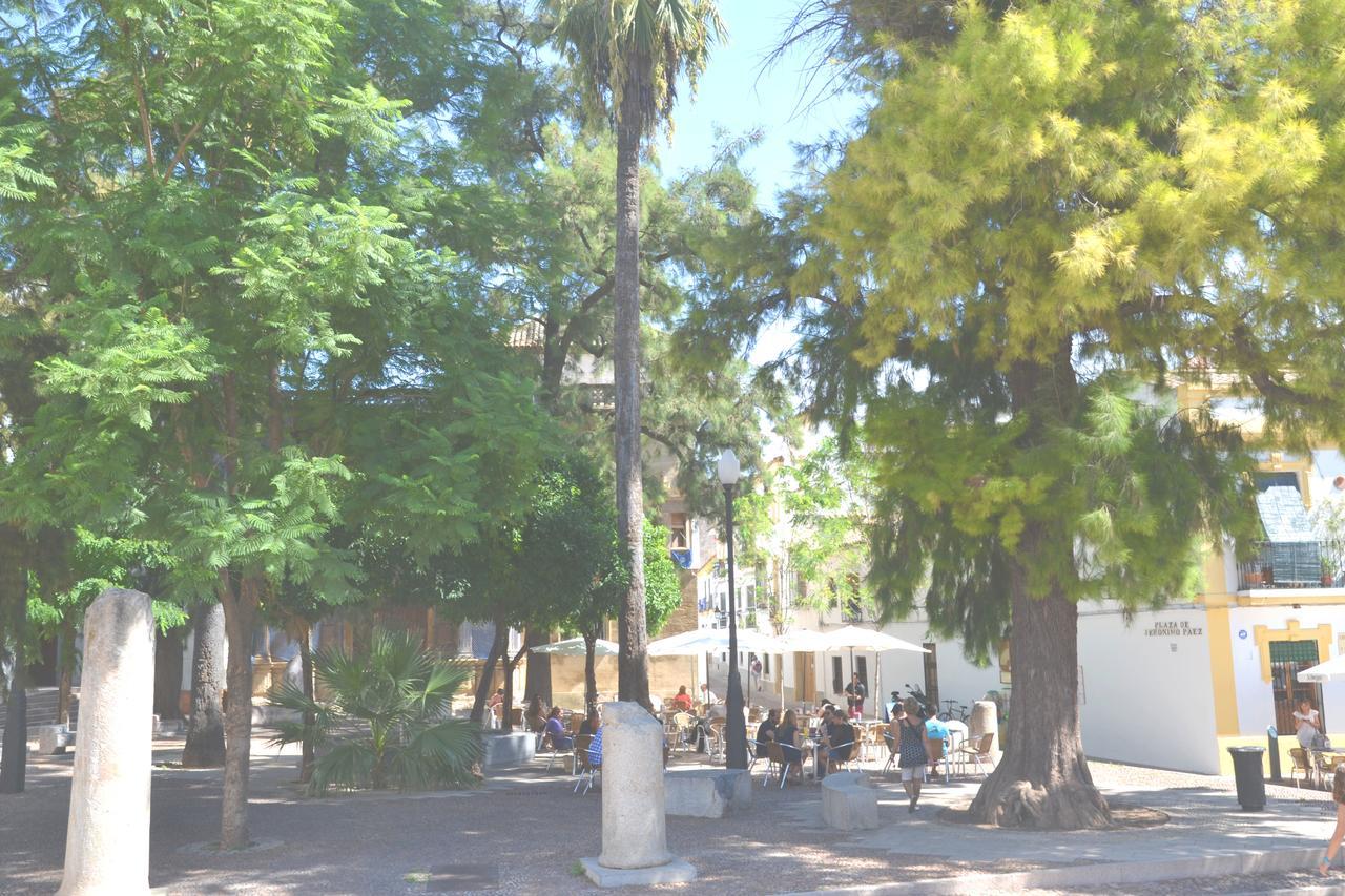 Centro Cordoba Apartaluz-8 Wifi Pk Exterior photo